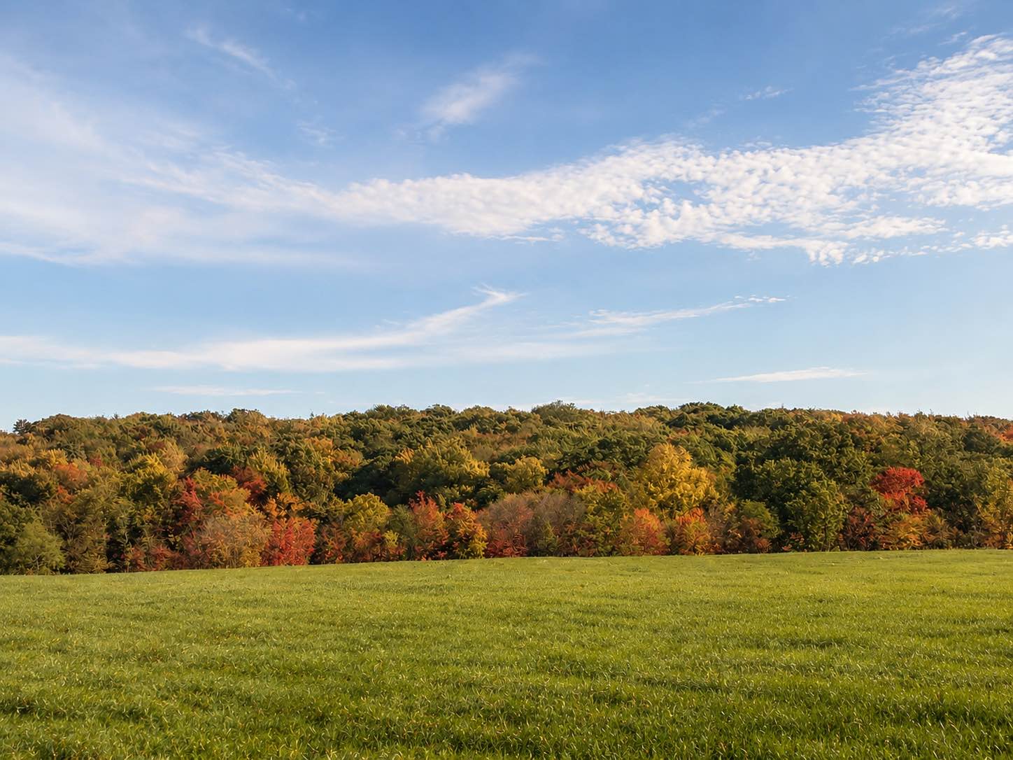 Blue sky with clouds, fall-colored trees, green grass