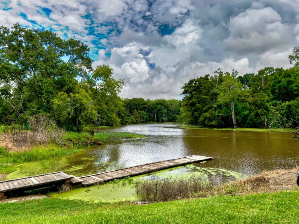 Louisiana bayou with bridge and trees