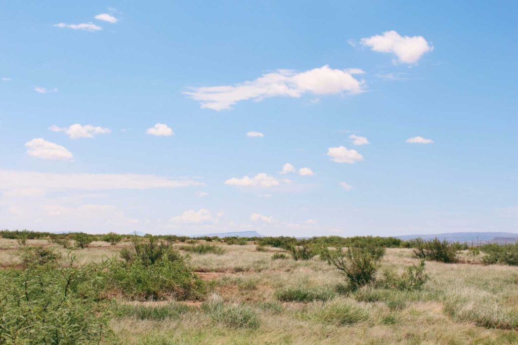 Texas landscape - flat land, blue sky.